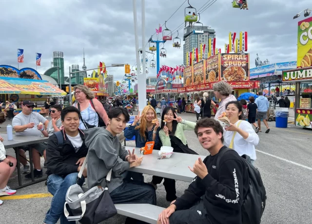 アクティビティ