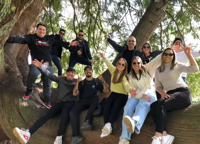 アクティビティ