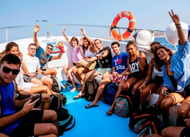 アクティビティ