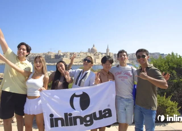 アクティビティ