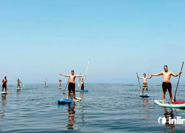 アクティビティ