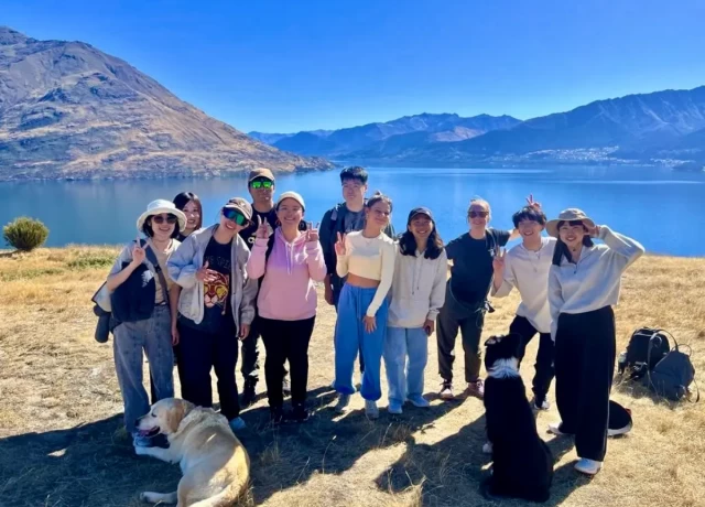 アクティビティ