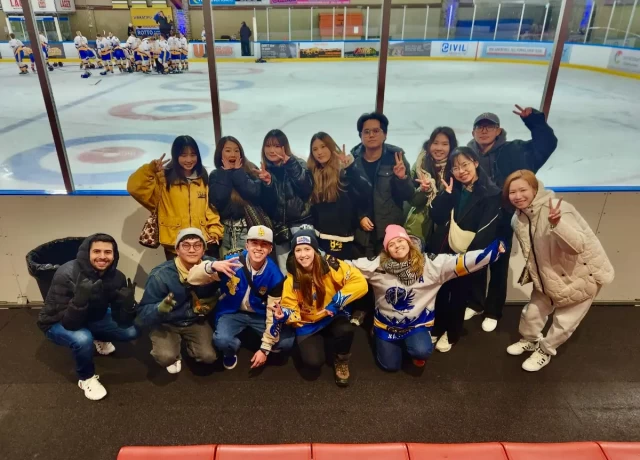 アクティビティ