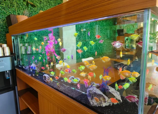 カフェ（AQUA GARDEN）