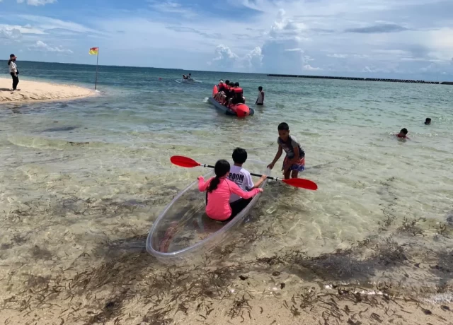 アクティビティ