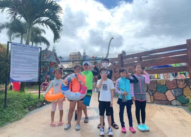 アクティビティ