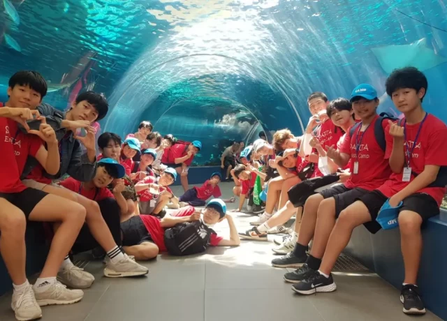 アクティビティ