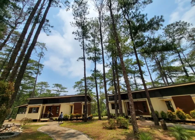 エコヴィラ外観