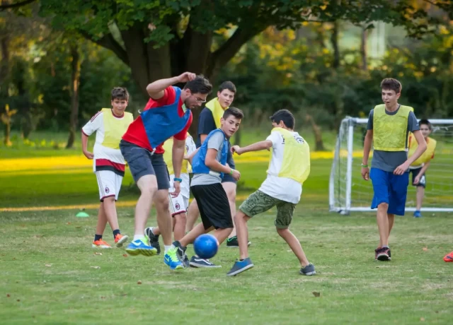 アクティビティ