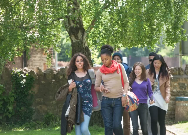 アクティビティ