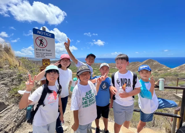 アクティビティ