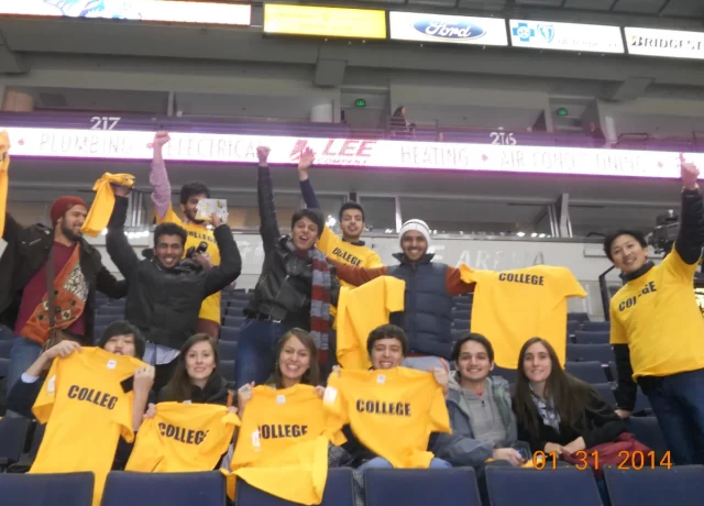 アクティビティ