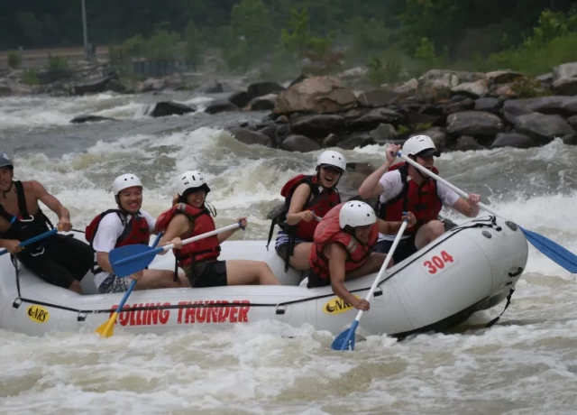 アクティビティ