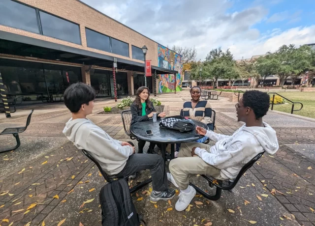 アクティビティ