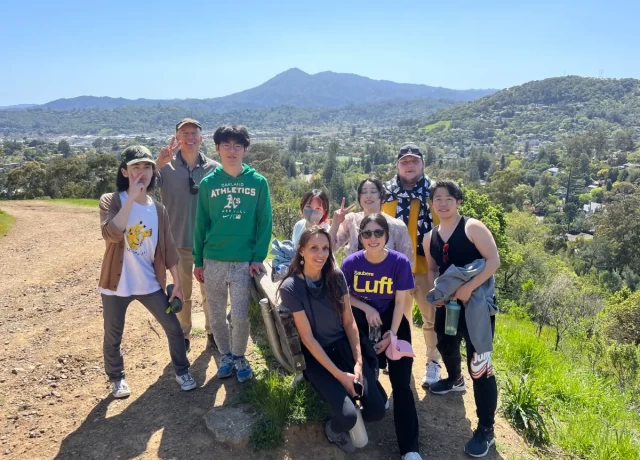 アクティビティ