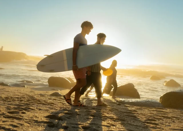 アクティビティ