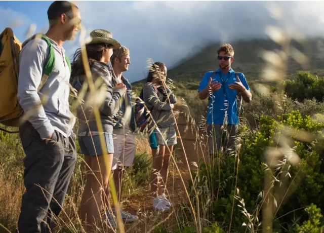 アクティビティ