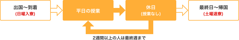 留学の全体の流れ