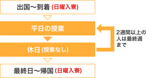 留学の全体の流れ